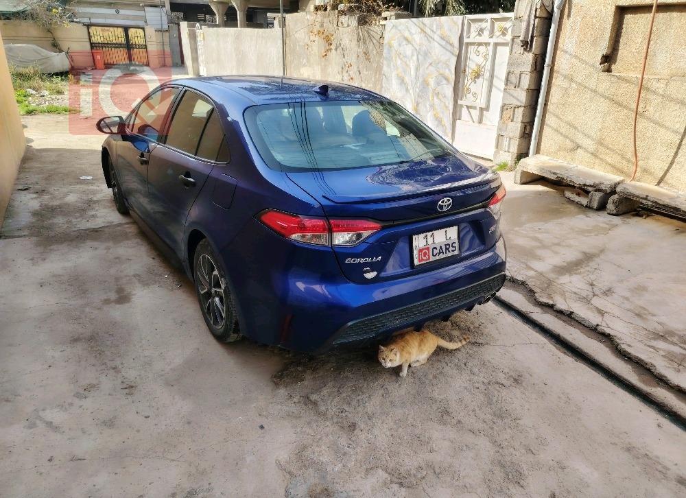 تويوتا كورولا